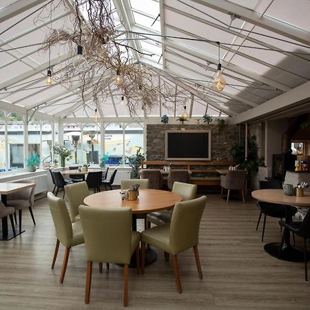Hotel Hive Townhouse Aberaeron Zewnętrze zdjęcie